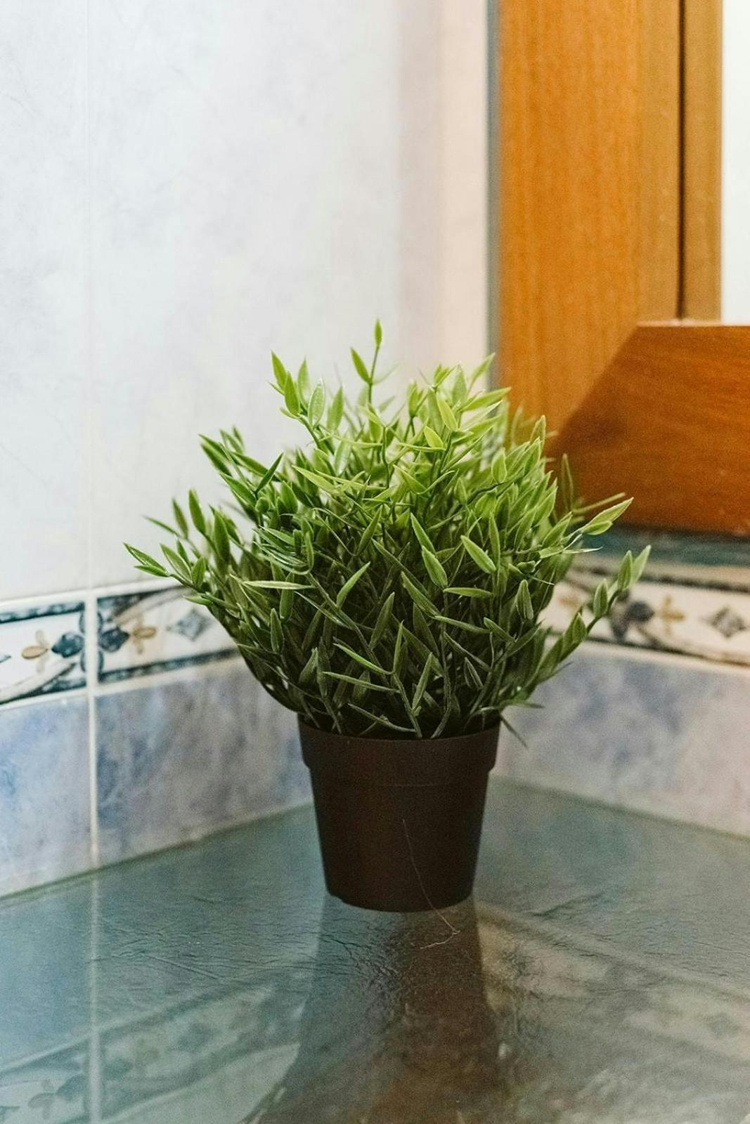 Sallent de Gállego Casa Begona - Wifi Sencillo Y Acogedor 아파트 외부 사진