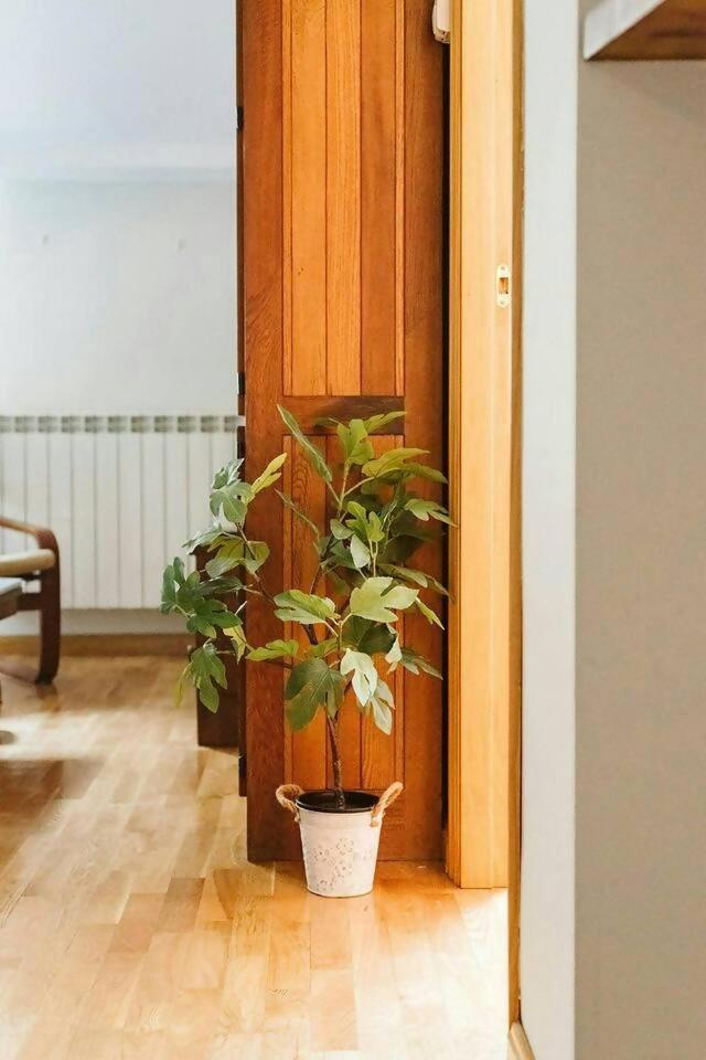 Sallent de Gállego Casa Begona - Wifi Sencillo Y Acogedor 아파트 외부 사진